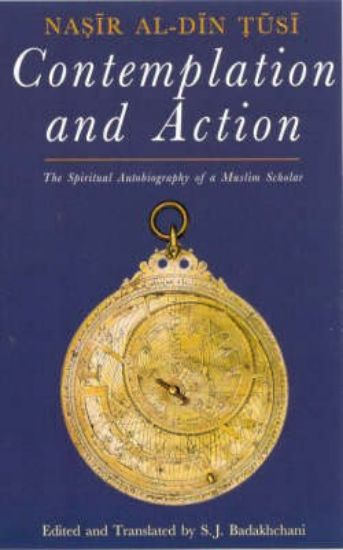 Picture of Contemplation and Action (HB)