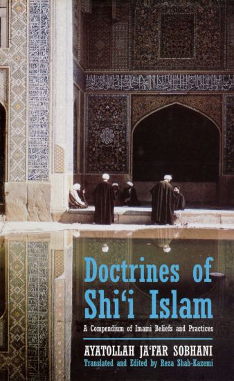 Picture of Doctrines of Shi'i Islam HB