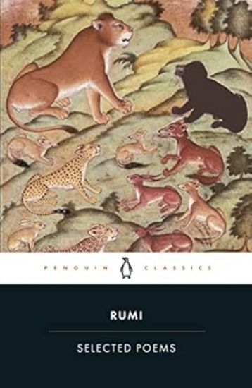 Picture of Rumi - Selected Poems